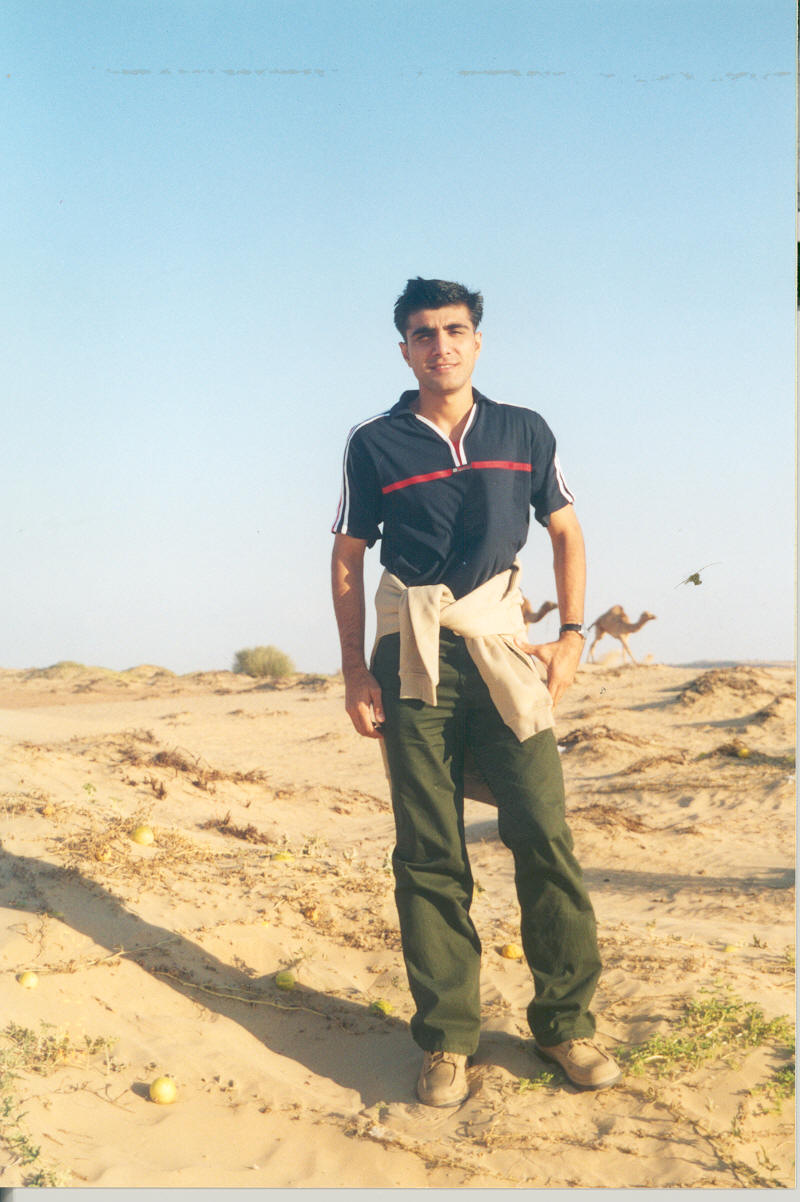p3.jpg 