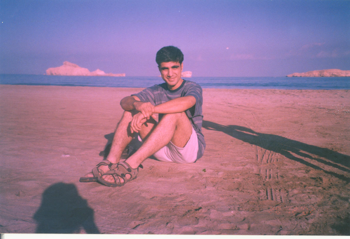 p6.jpg 