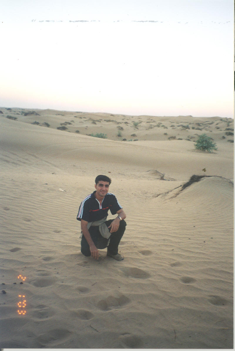 p7.jpg 